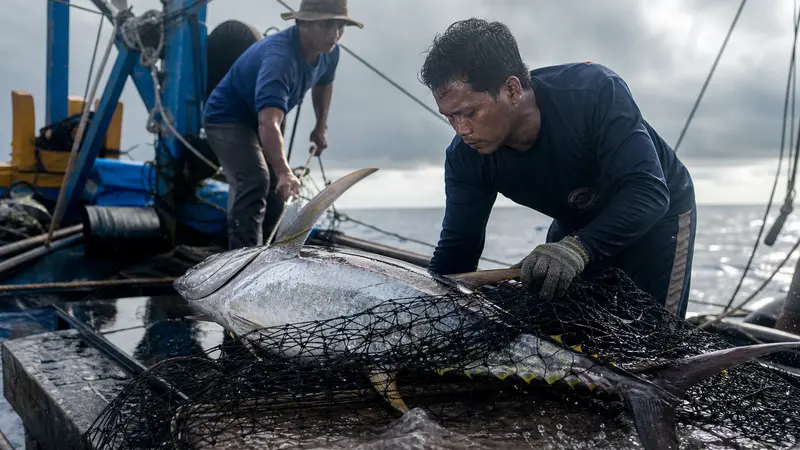 Pengawasan Ketat Turki: Pendiri Papara Ditangkap Lagi Akibat Dugaan Perjudian